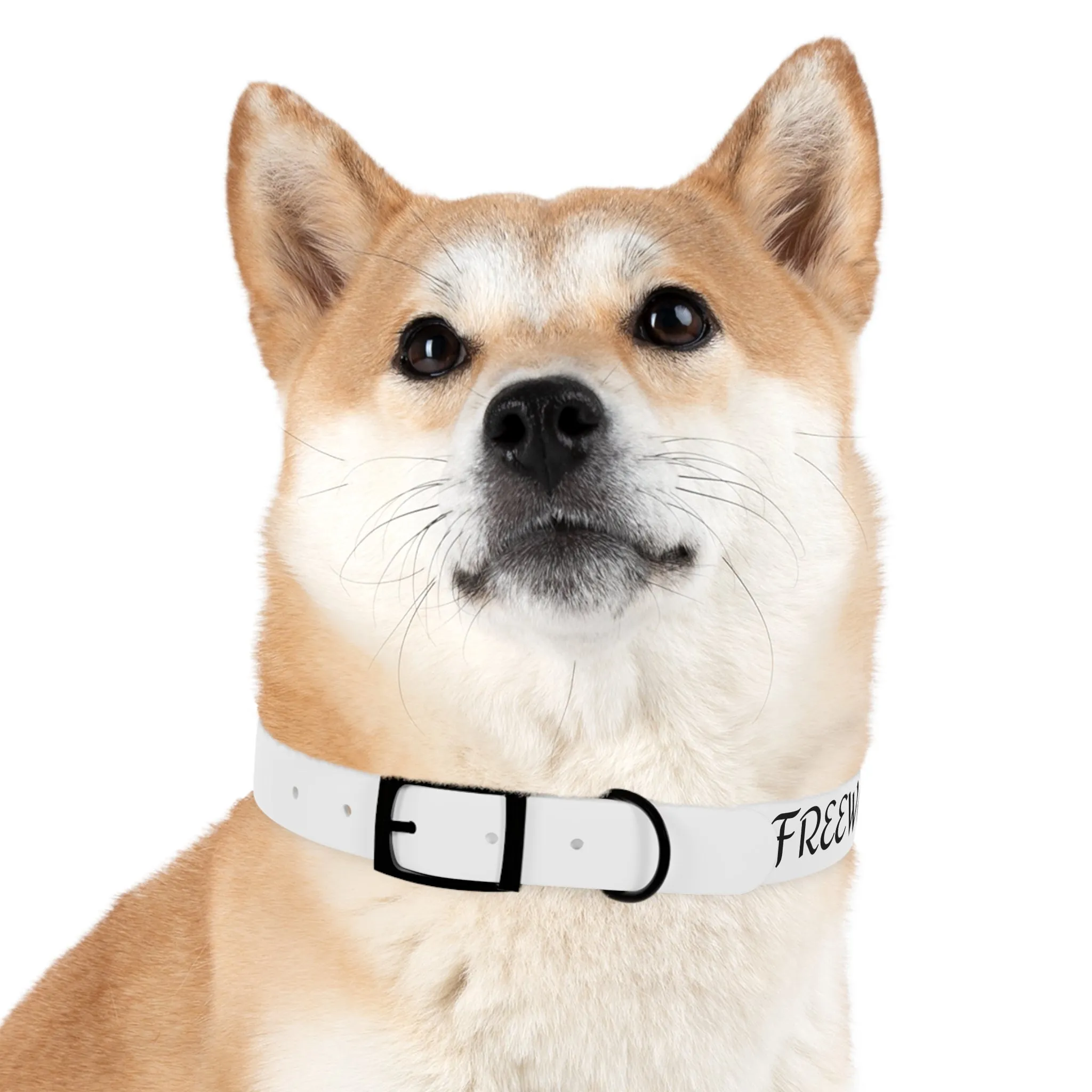 Personalized Dog Collar - Stylish and Durable Pet Accessory