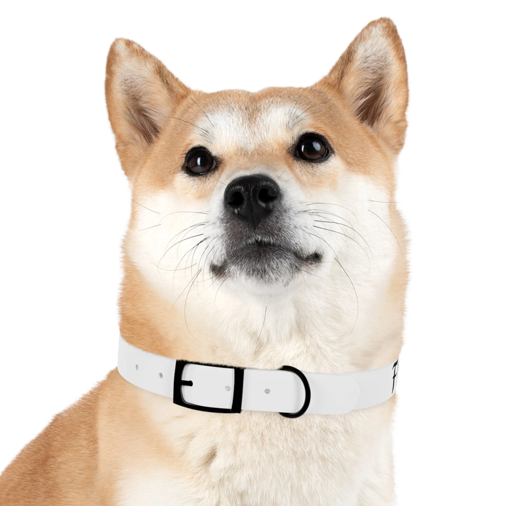 Personalized Dog Collar - Stylish and Durable Pet Accessory
