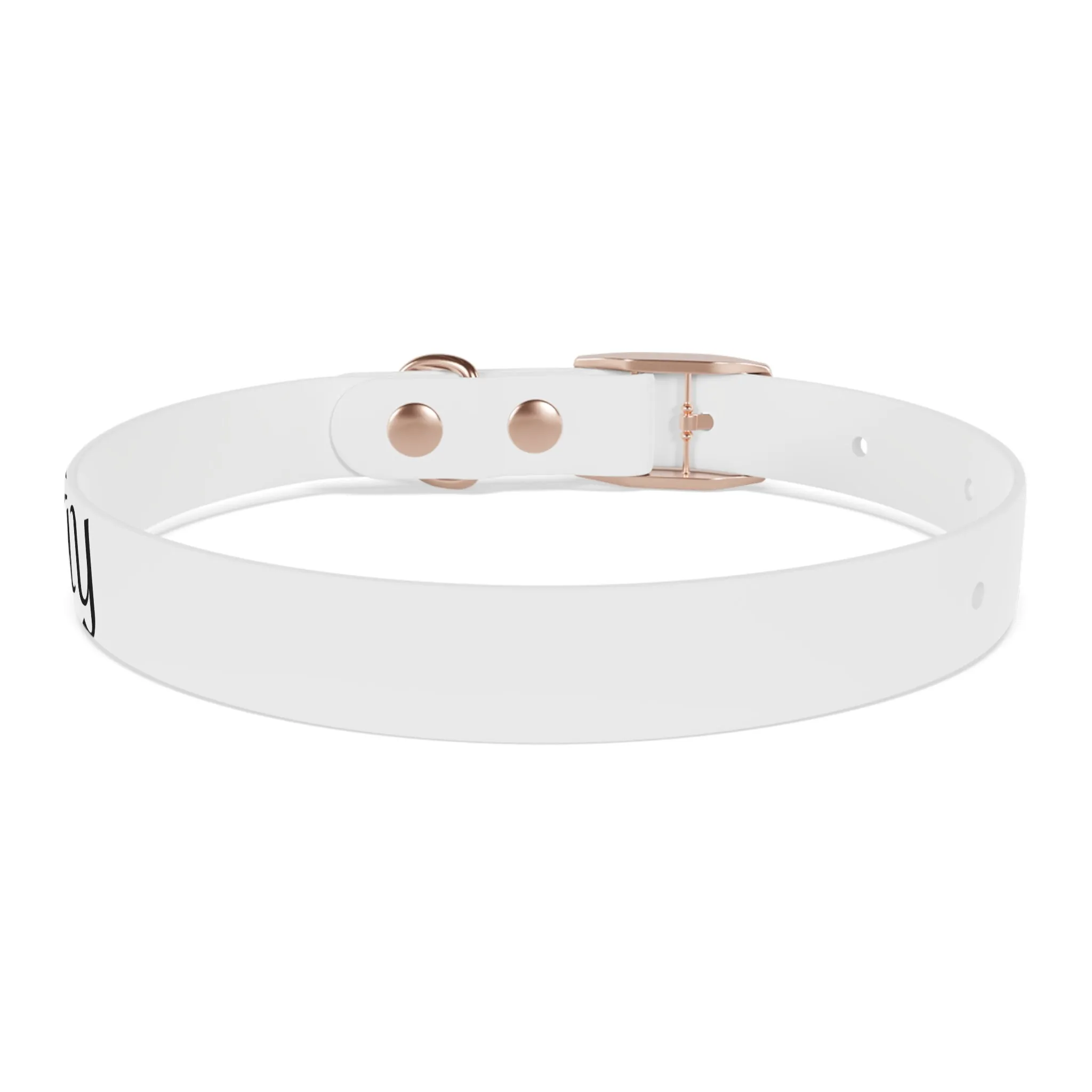 Personalized Dog Collar - Stylish and Durable Pet Accessory