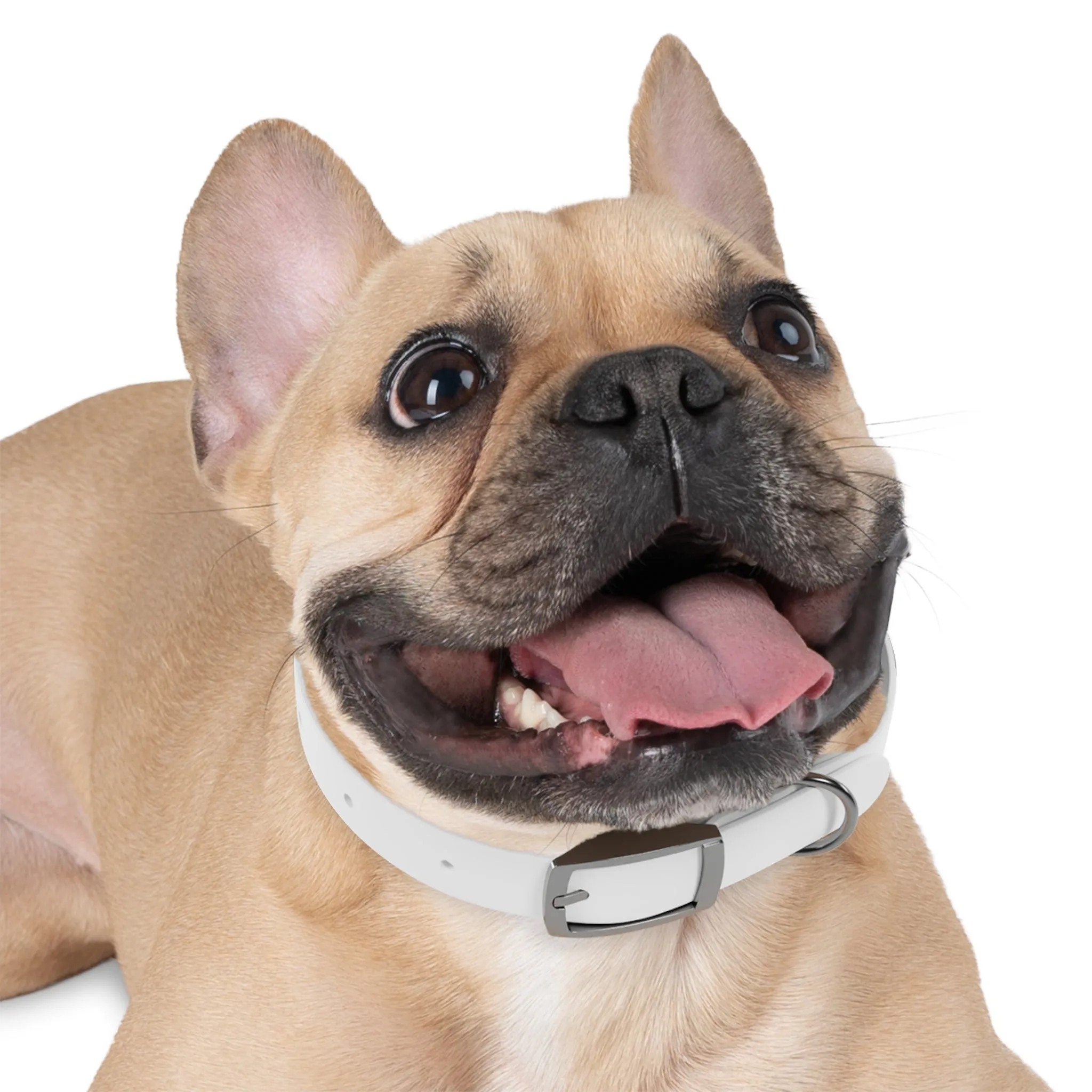 Personalized Dog Collar - Stylish and Durable Pet Accessory