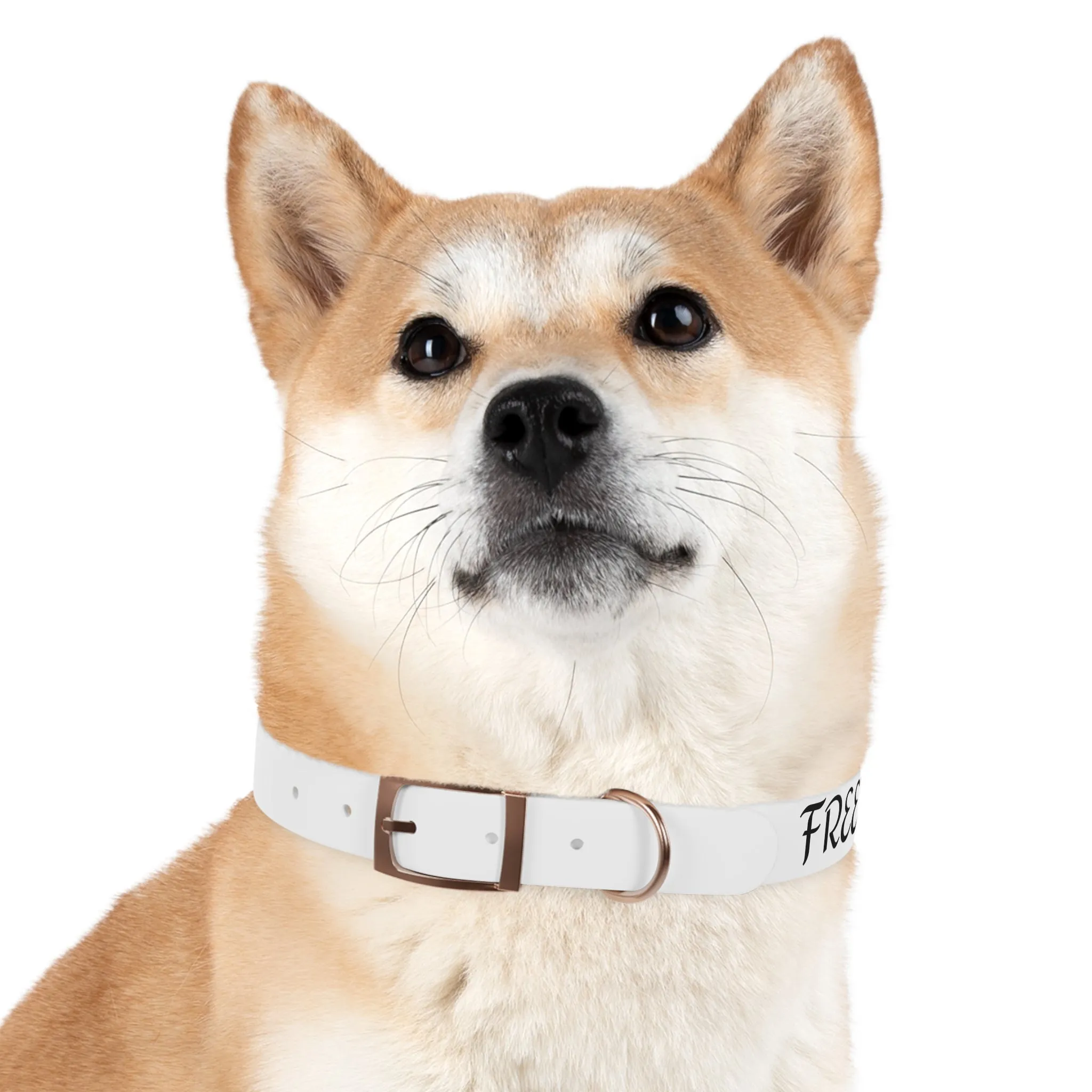Personalized Dog Collar - Stylish and Durable Pet Accessory