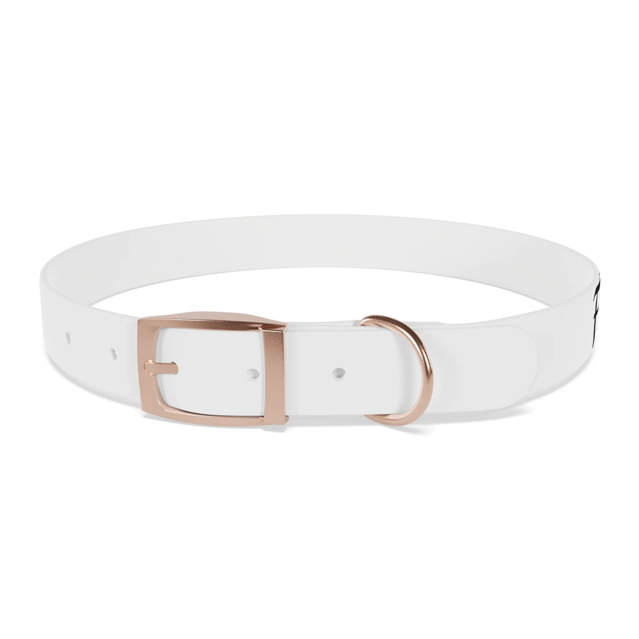 Personalized Dog Collar - Stylish and Durable Pet Accessory
